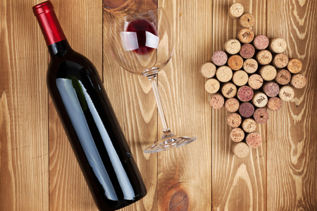 Vino - SCEA DOMAINE DE TREVALLON